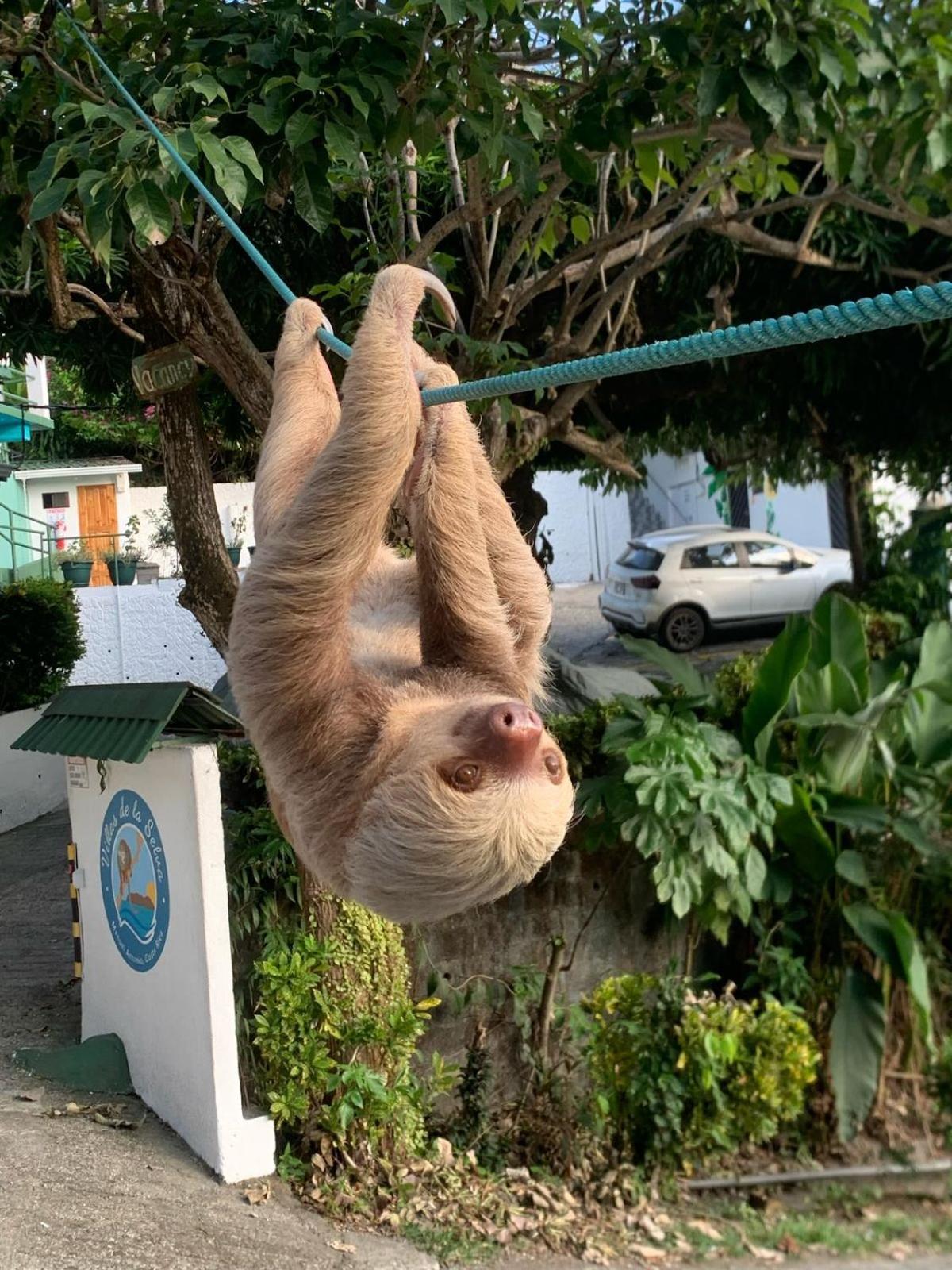 De La Selva Manuel Antonio