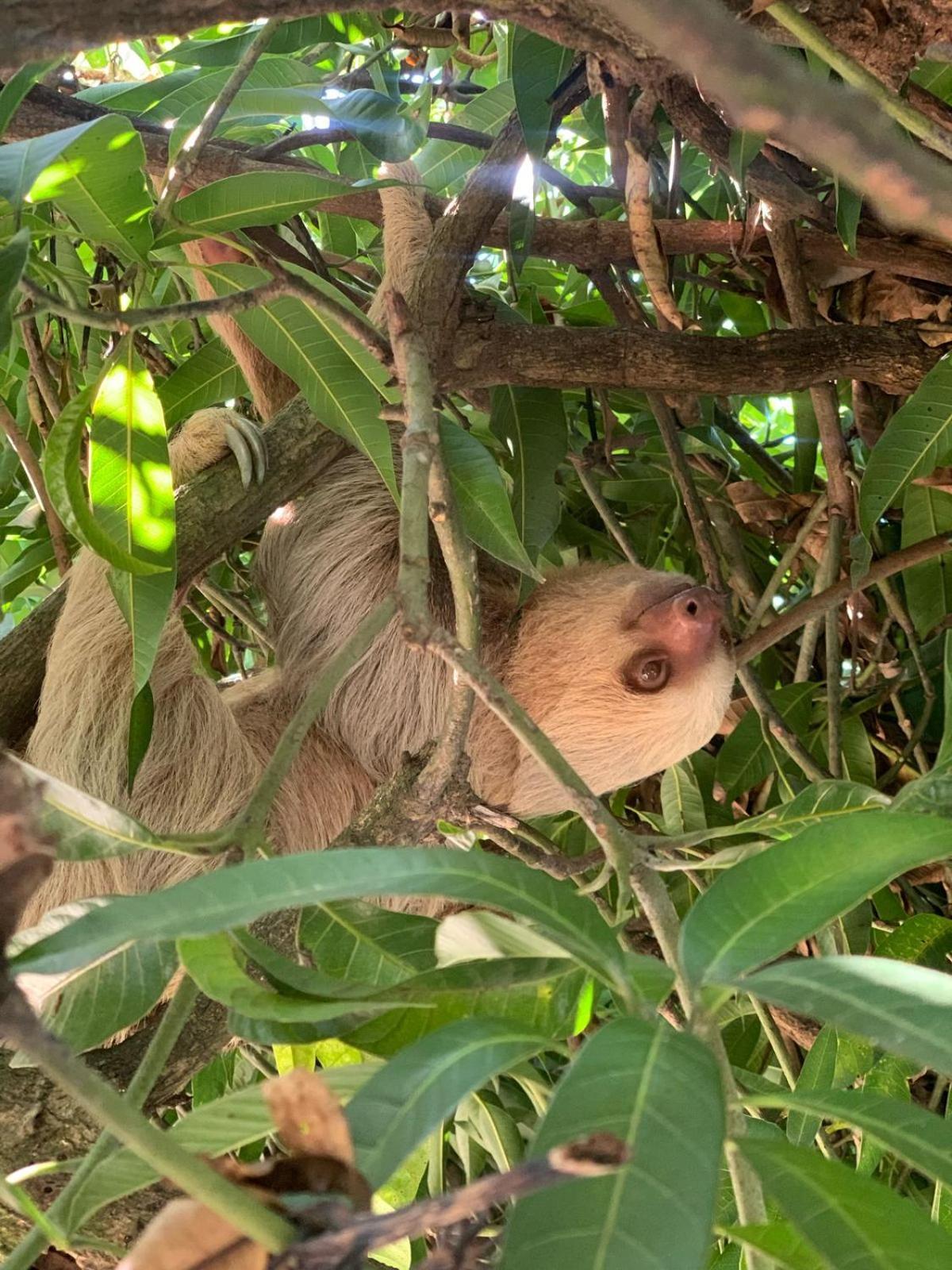 De La Selva